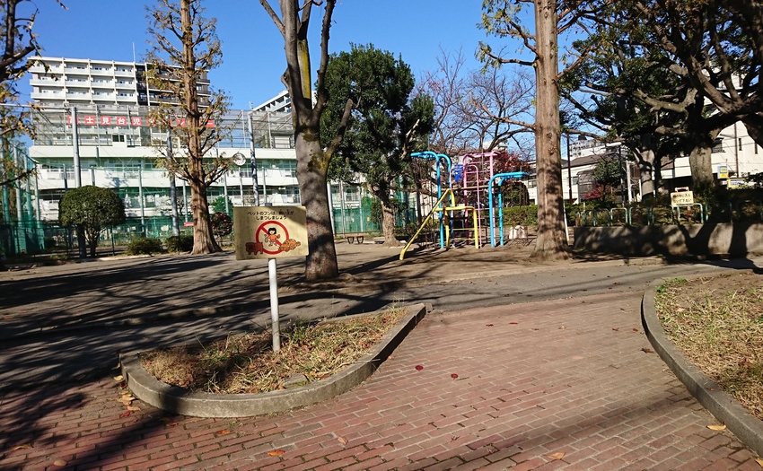 原っぱ公園_7
