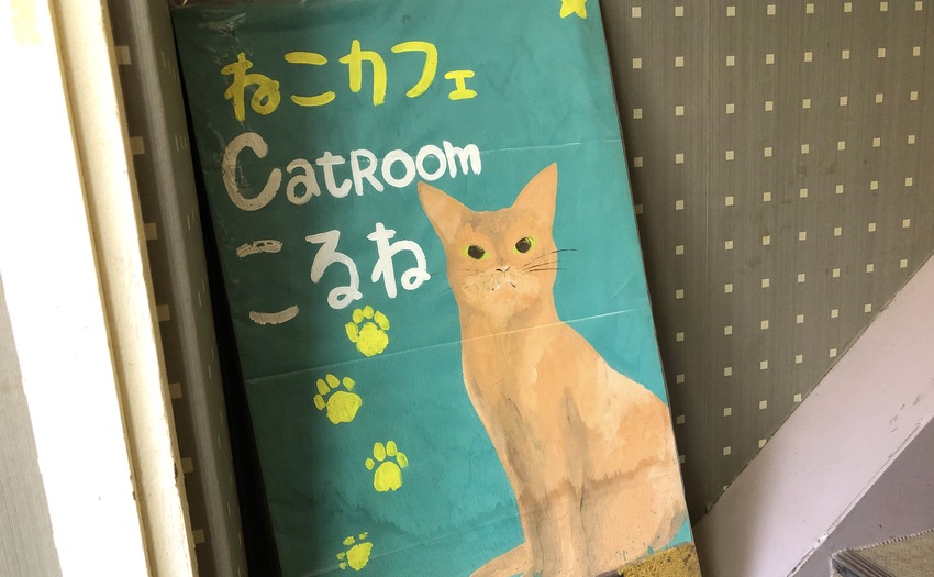 CatRoom こるね_1
