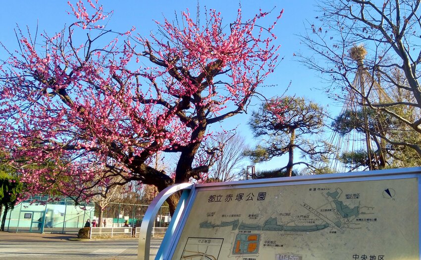 赤塚公園_2