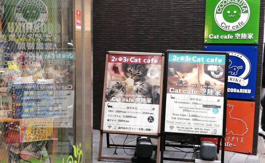 猫喫茶 空陸家plus 渋谷スペイン坂店_2