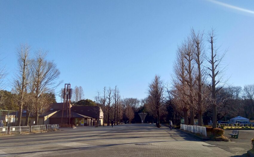 赤塚公園_5