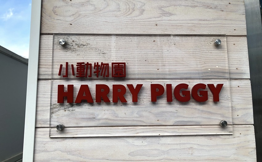 小動物園HARRY PIGGY_5