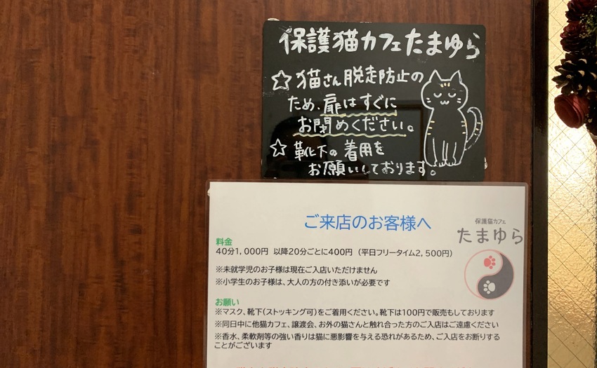 保護猫カフェたまゆら_3
