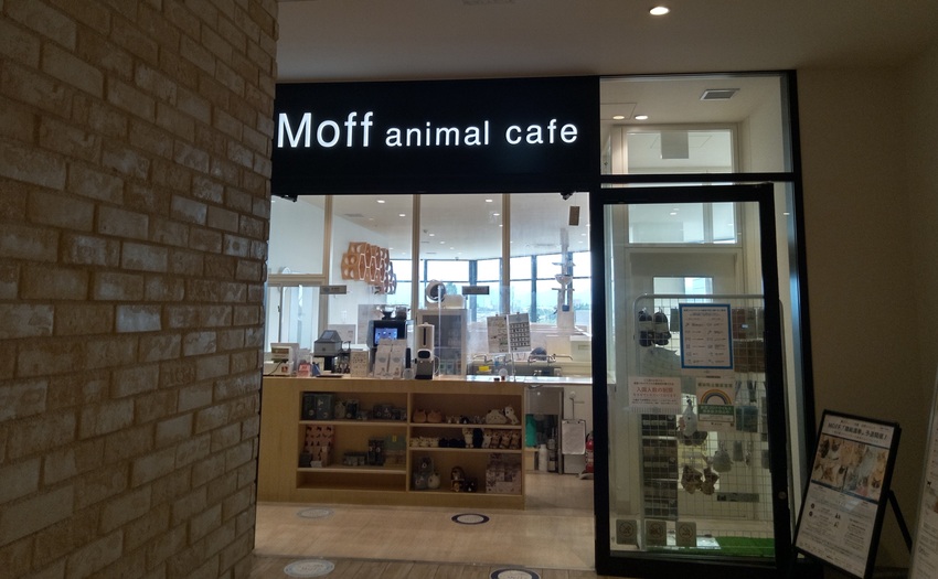 Moff animal cafe_10